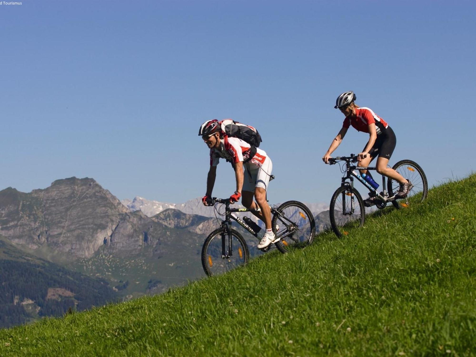 Chalet Huski Viehhofen Saalbach-Hinterglemm Dış mekan fotoğraf