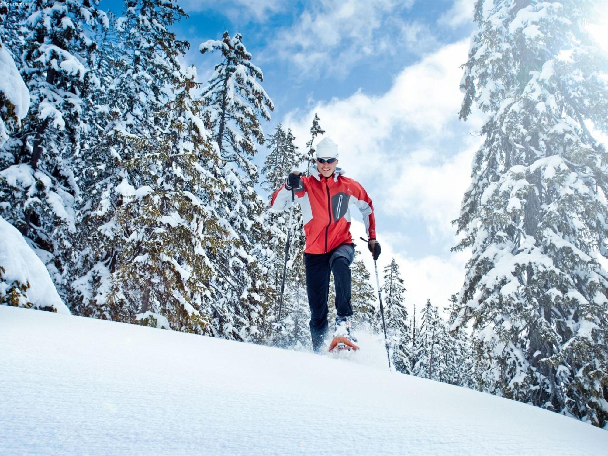 Chalet Huski Viehhofen Saalbach-Hinterglemm Dış mekan fotoğraf