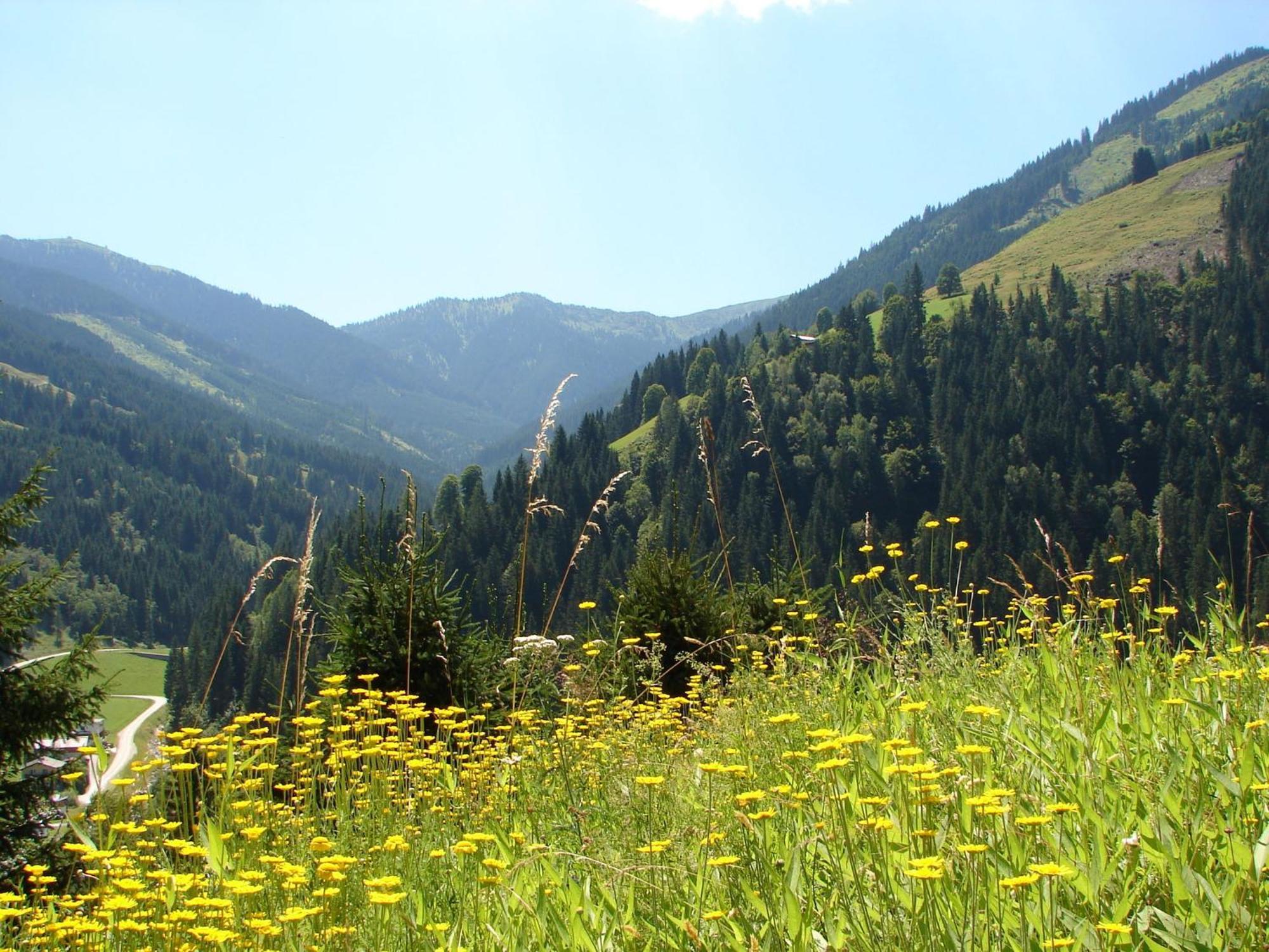 Chalet Huski Viehhofen Saalbach-Hinterglemm Dış mekan fotoğraf